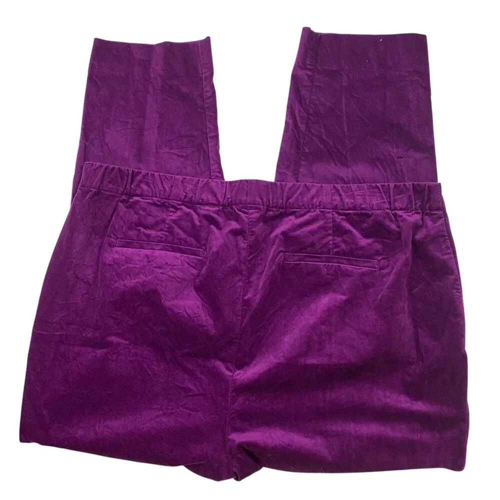 J. Jill Velveteen Women's side zip Pants Women's size 20